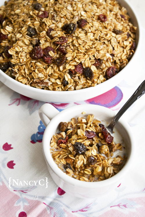 Cranberry-Raisin Toasted Oat Cereal