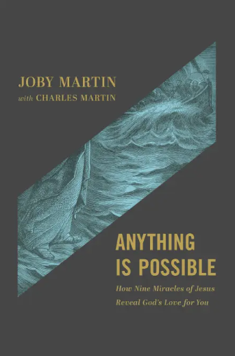 book review anything is possible